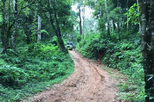 Kerala in Südindien