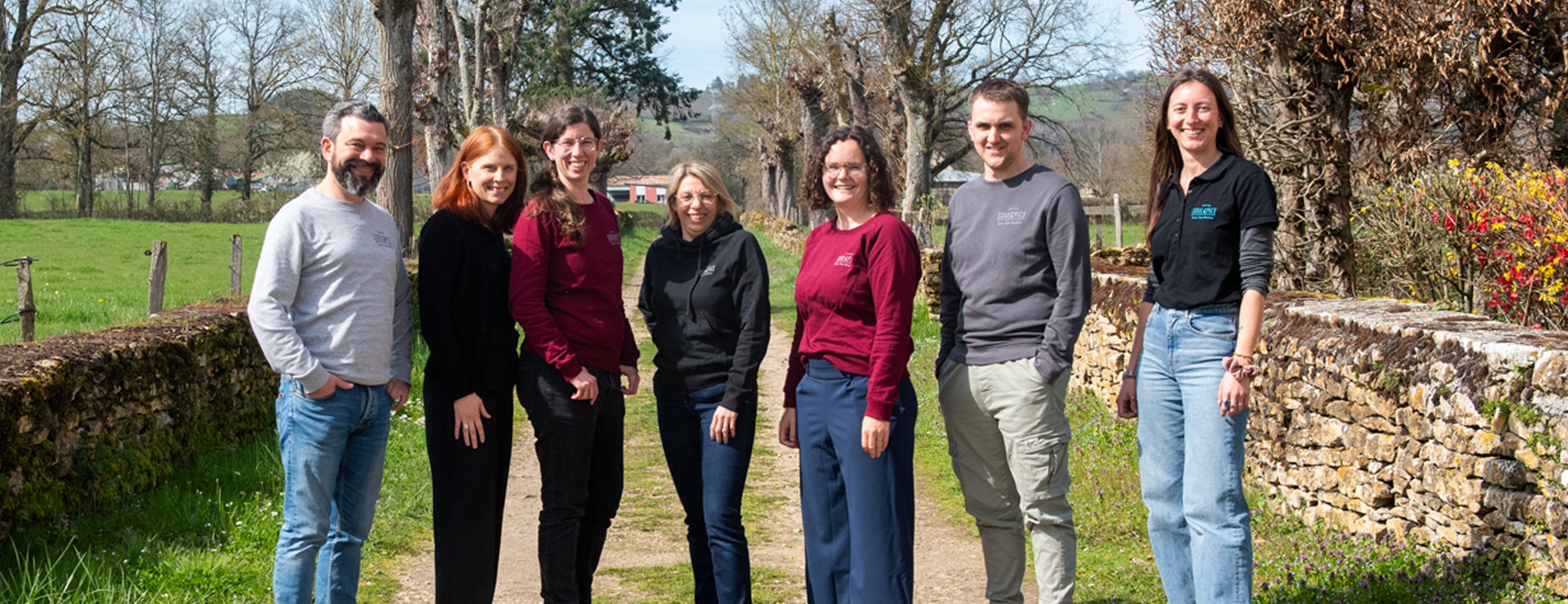 team image